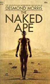 کتاب میمون برهنه