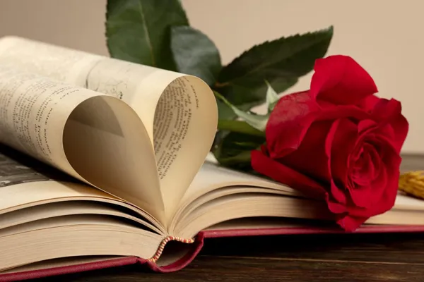 5 رمان عاشقانه ایرانی که قلب‌تان را تسخیر می‌کند