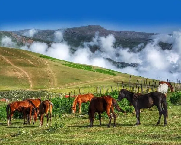 معرفی و آشنایی با بهترین سفرنامه های ایرانی