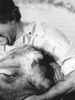 فیلم های ایرانی که از روی کتاب ساخته شده اند