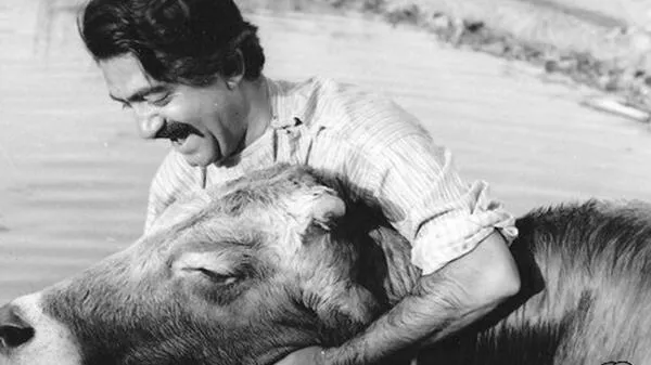 فیلم های ایرانی که از روی کتاب ساخته شده اند